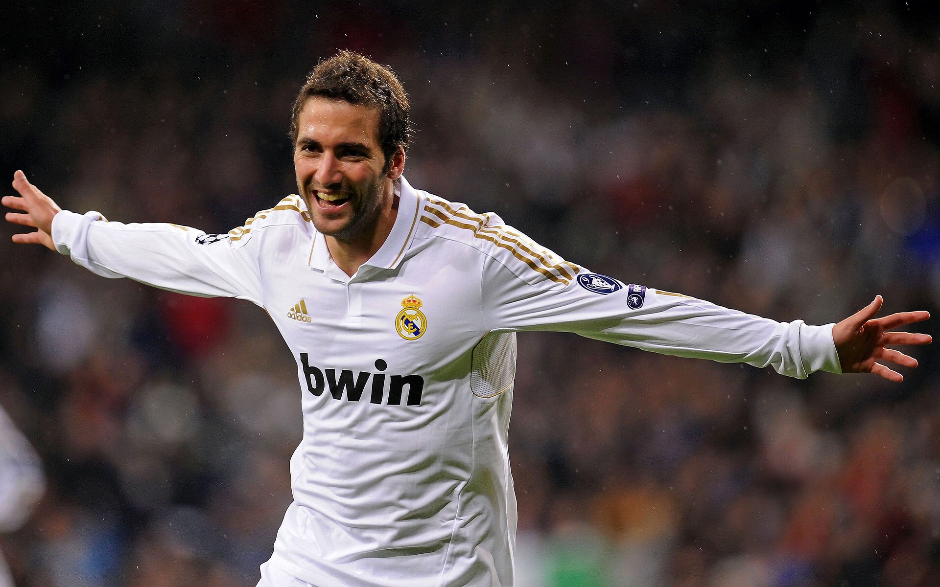 南非橄榄球赛事观众持续增加，品牌价值日益增强，南非 橄榄球